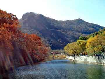 新澳天天开奖资料大全旅游团，捷达车友会